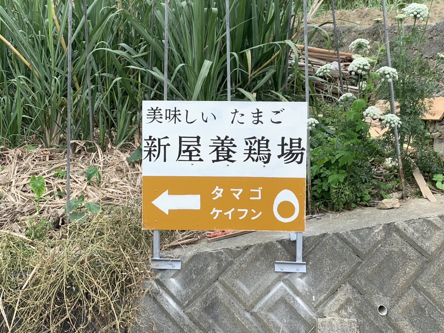 新屋養鶏場への案内看板